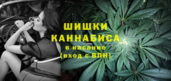 ГАЛЛЮЦИНОГЕННЫЕ ГРИБЫ Абаза