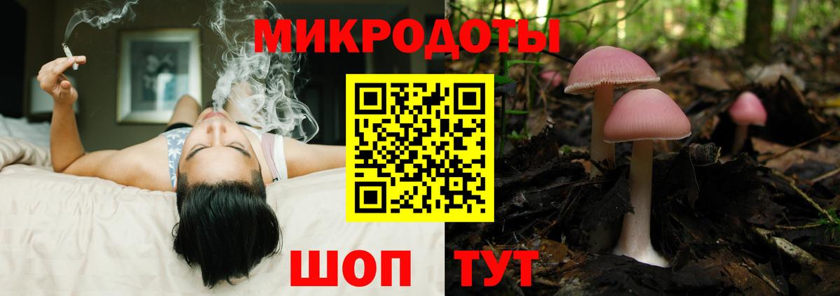 Псилоцибиновые грибы мицелий Сальск
